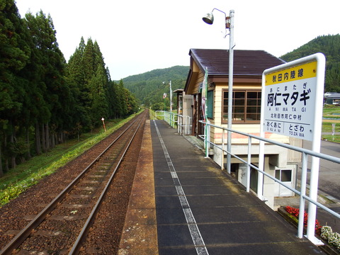 DSCF6538