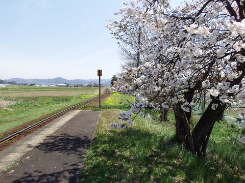 DSCF5195