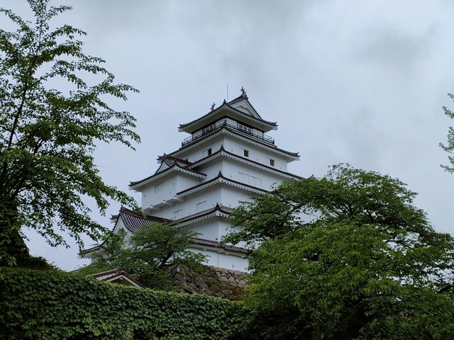 IMG20230523090240