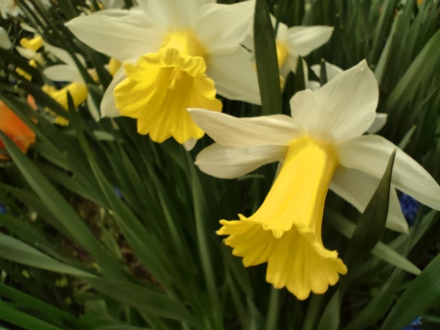 IMG20230504113515