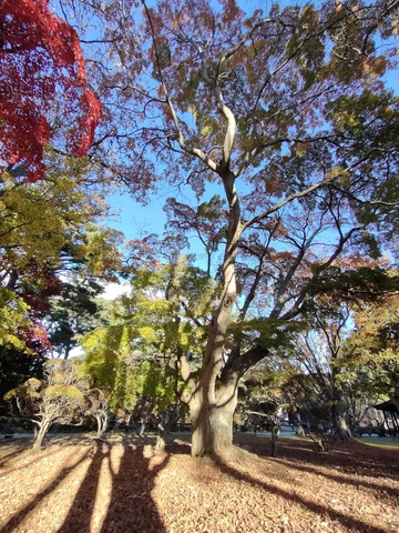 IMG20231115143224