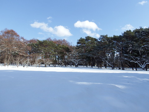 DSCF7695