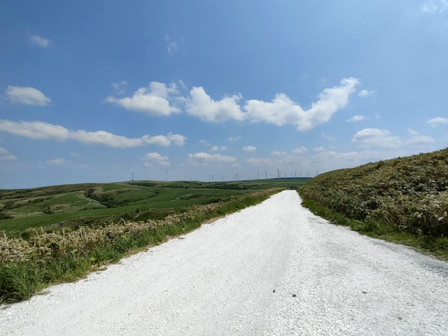 IMG20260613124518