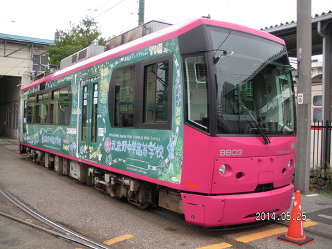 RIMG3877