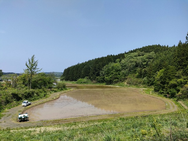 IMG20230517121334