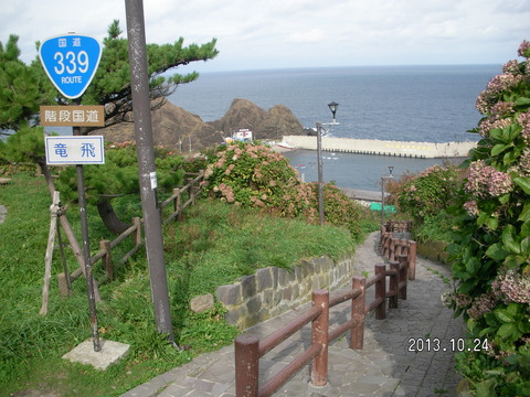 RIMG2712