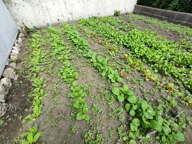IMG20260820111717