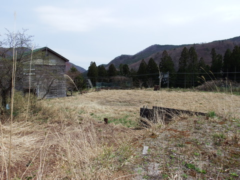 DSCF4894