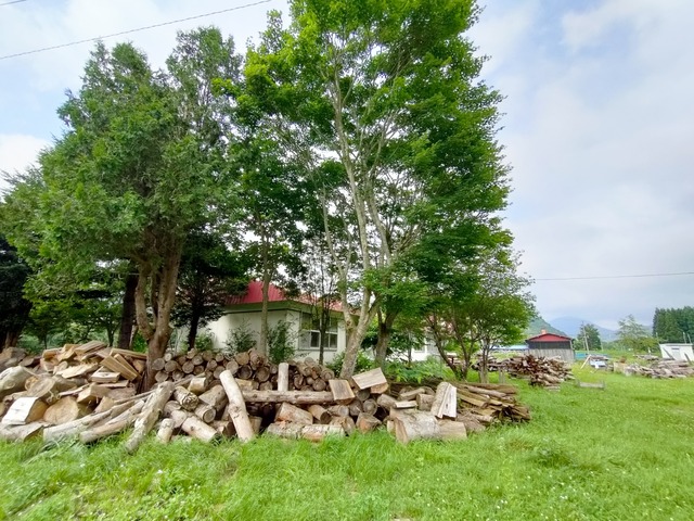 IMG20250706151116