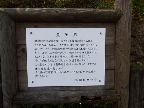 DSCF7556