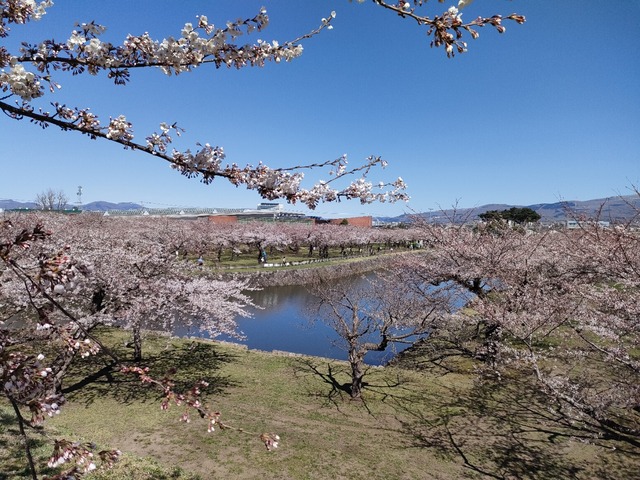 IMG20240422094431