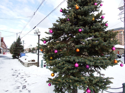 DSCF3349
