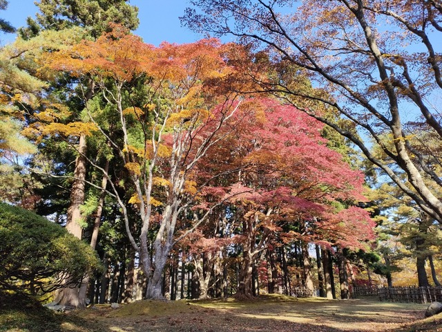 IMG20221105100204