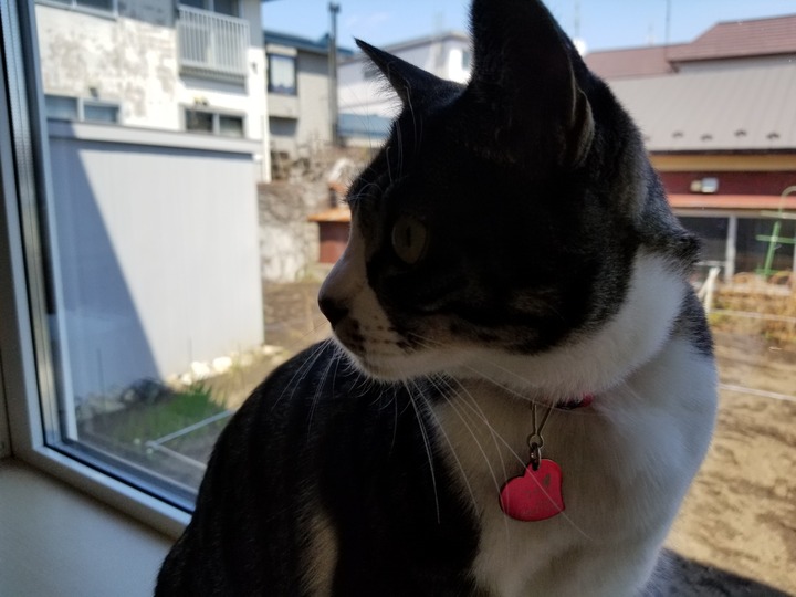 20190429_123820