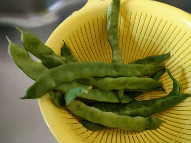 IMG20220802154120