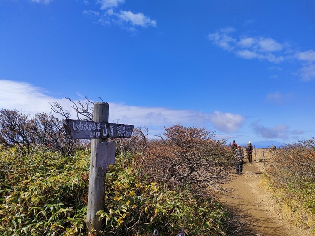 IMG20221014101923