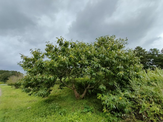 IMG20260824100753