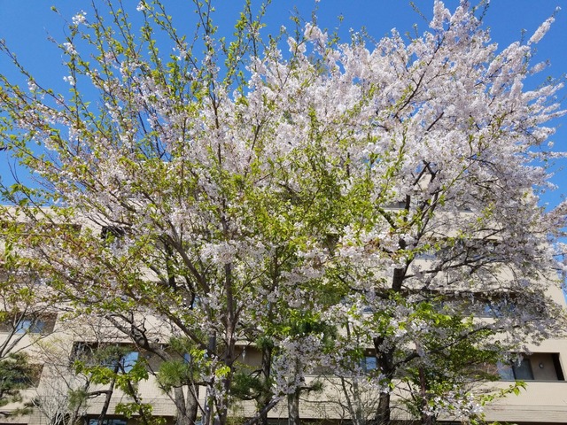 IMG_20210501_092048