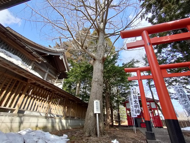 IMG20240316101650