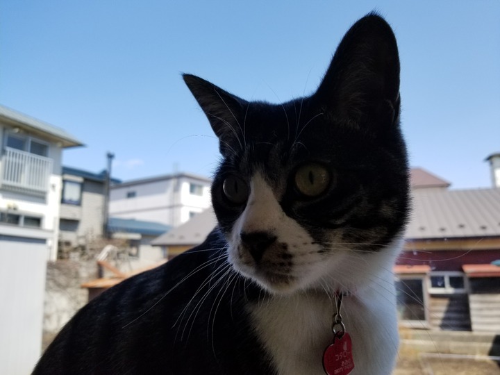 20190429_123809
