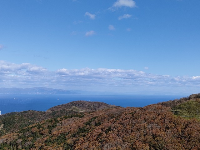 IMG20221018094353