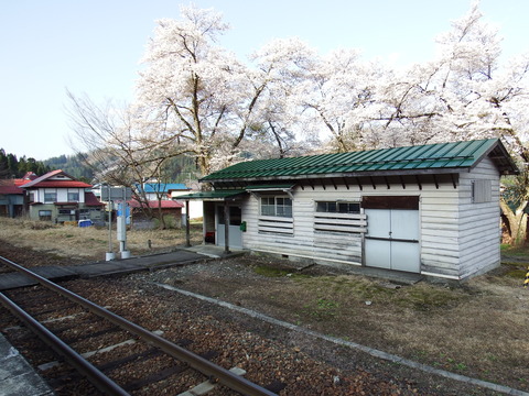 DSCF5002