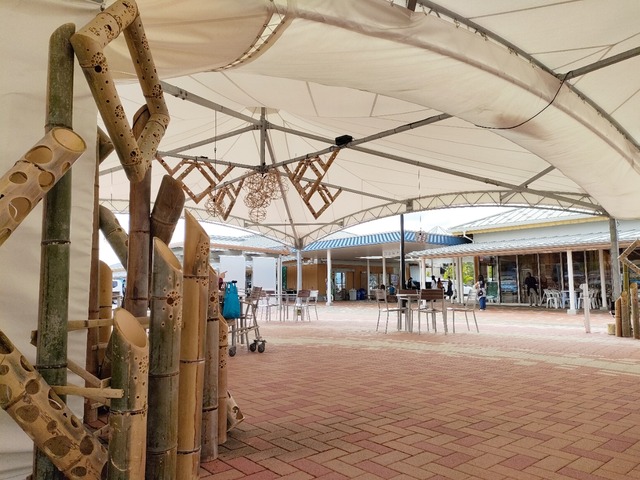 IMG20241005135738