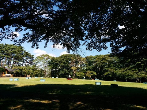 [画像:be623b50-s.jpg]