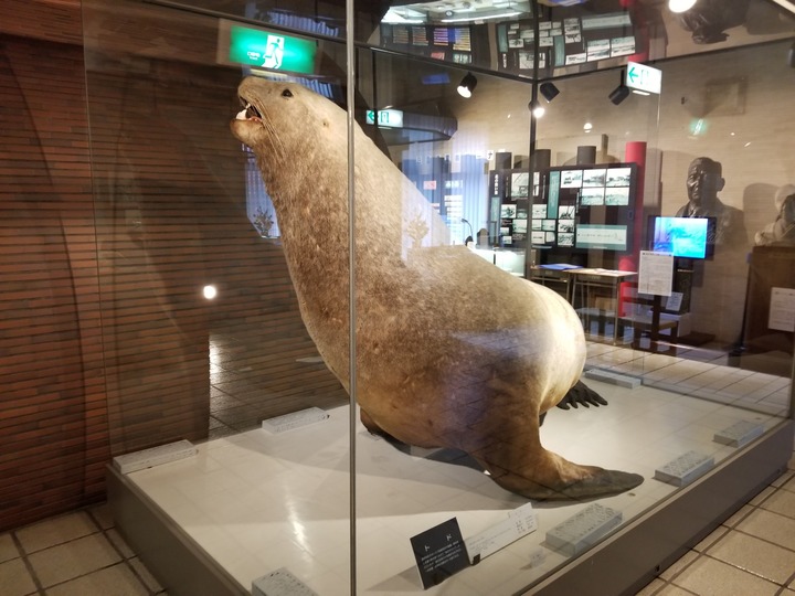 20191212_105318