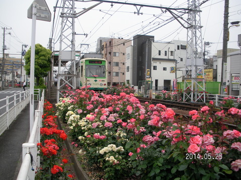 RIMG3873