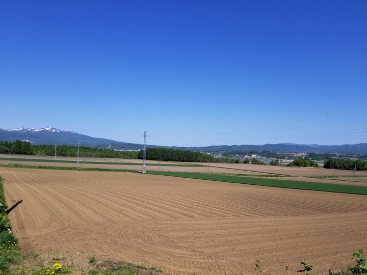 20190525_083124
