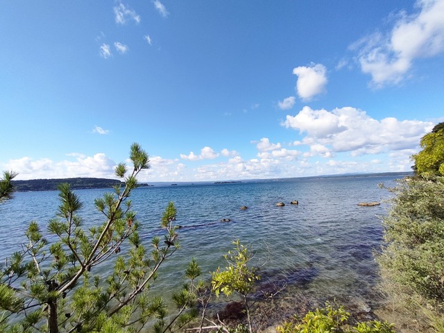 IMG20241011133730