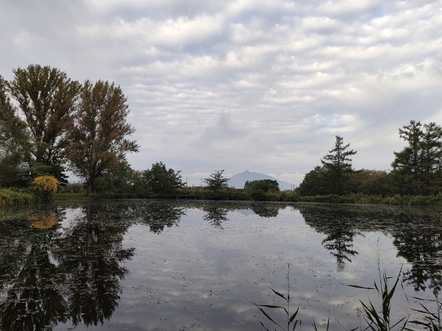 IMG20221017064114