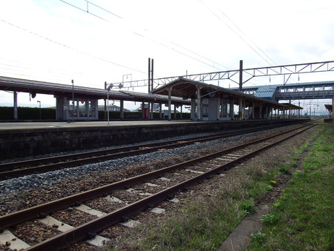 DSCF5337