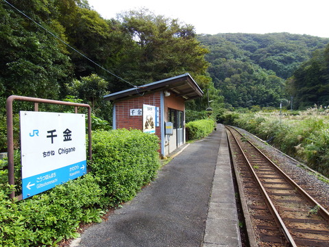 DSCF6683