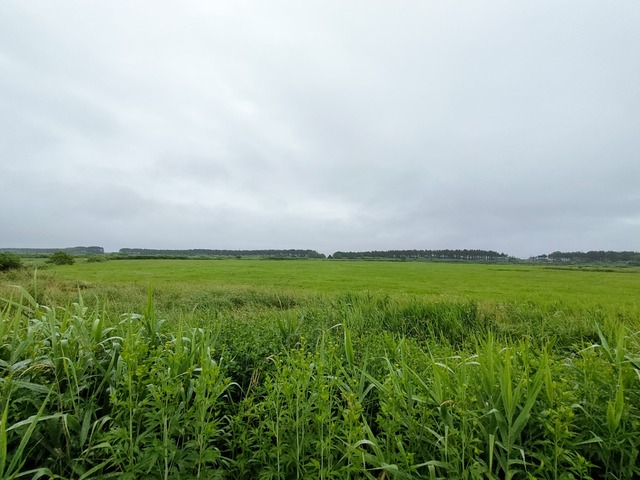 IMG20250716082230