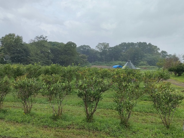 IMG20260824102050