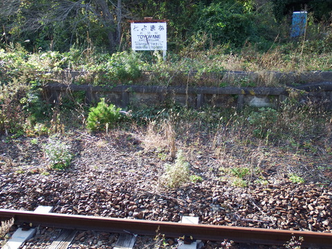 DSCF7144