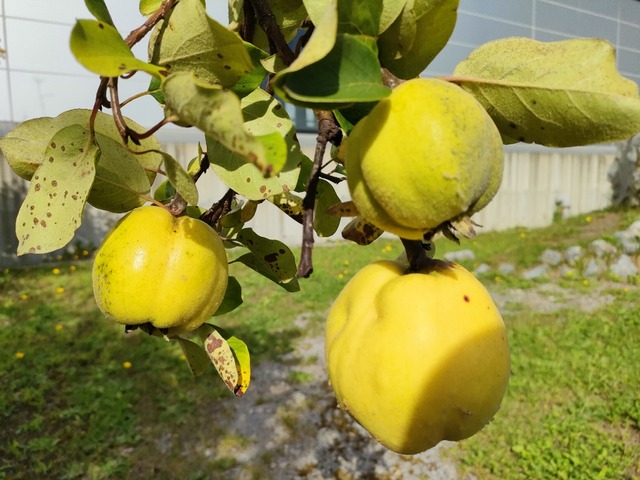 IMG20260915142312
