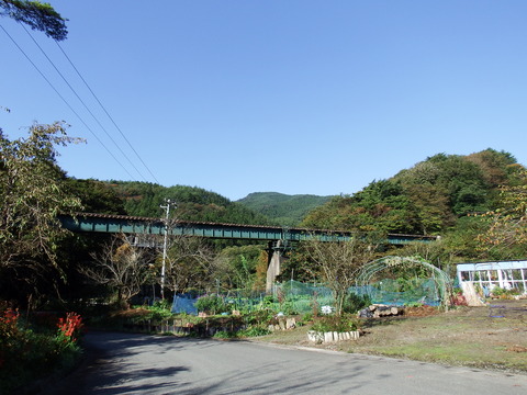 DSCF7121