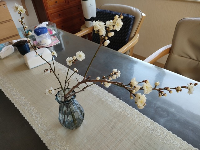 IMG20240415125732