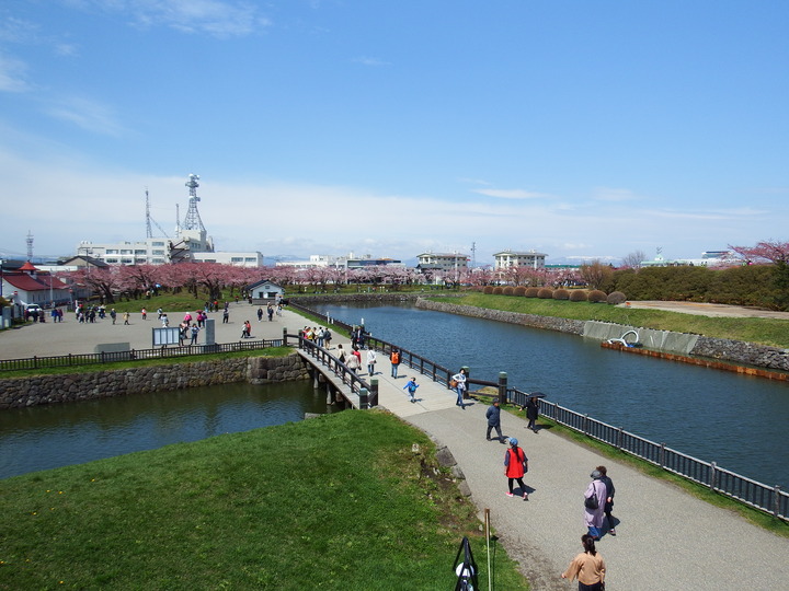 DSCF8031