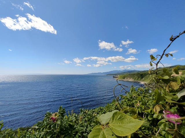 IMG20230619142707