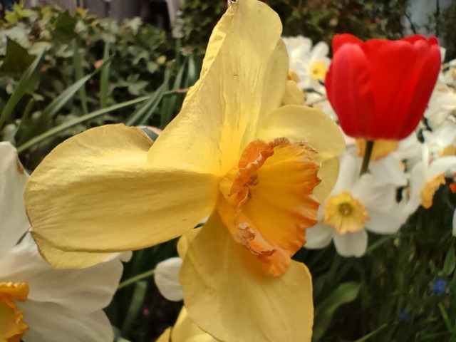 IMG20230504113450