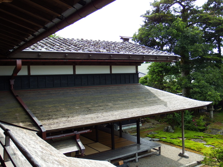 DSCF8648