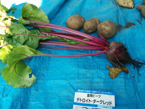 [画像:c4acf553-s.jpg]