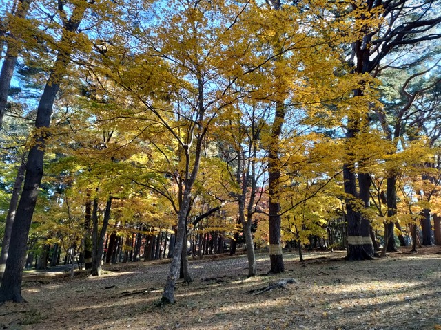 IMG20221105100036