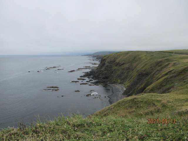 IMG_7406