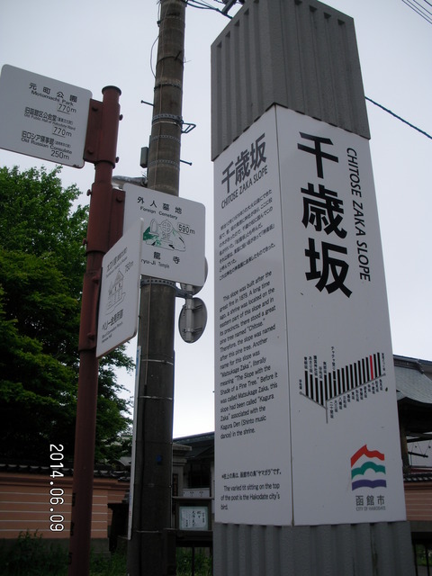 RIMG3954