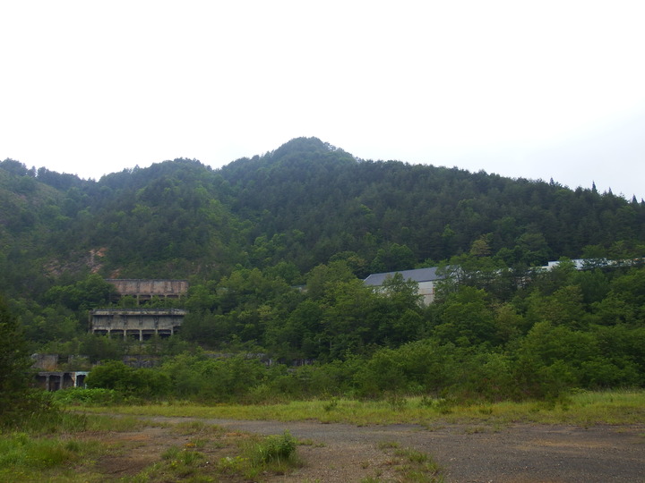 DSCF8841